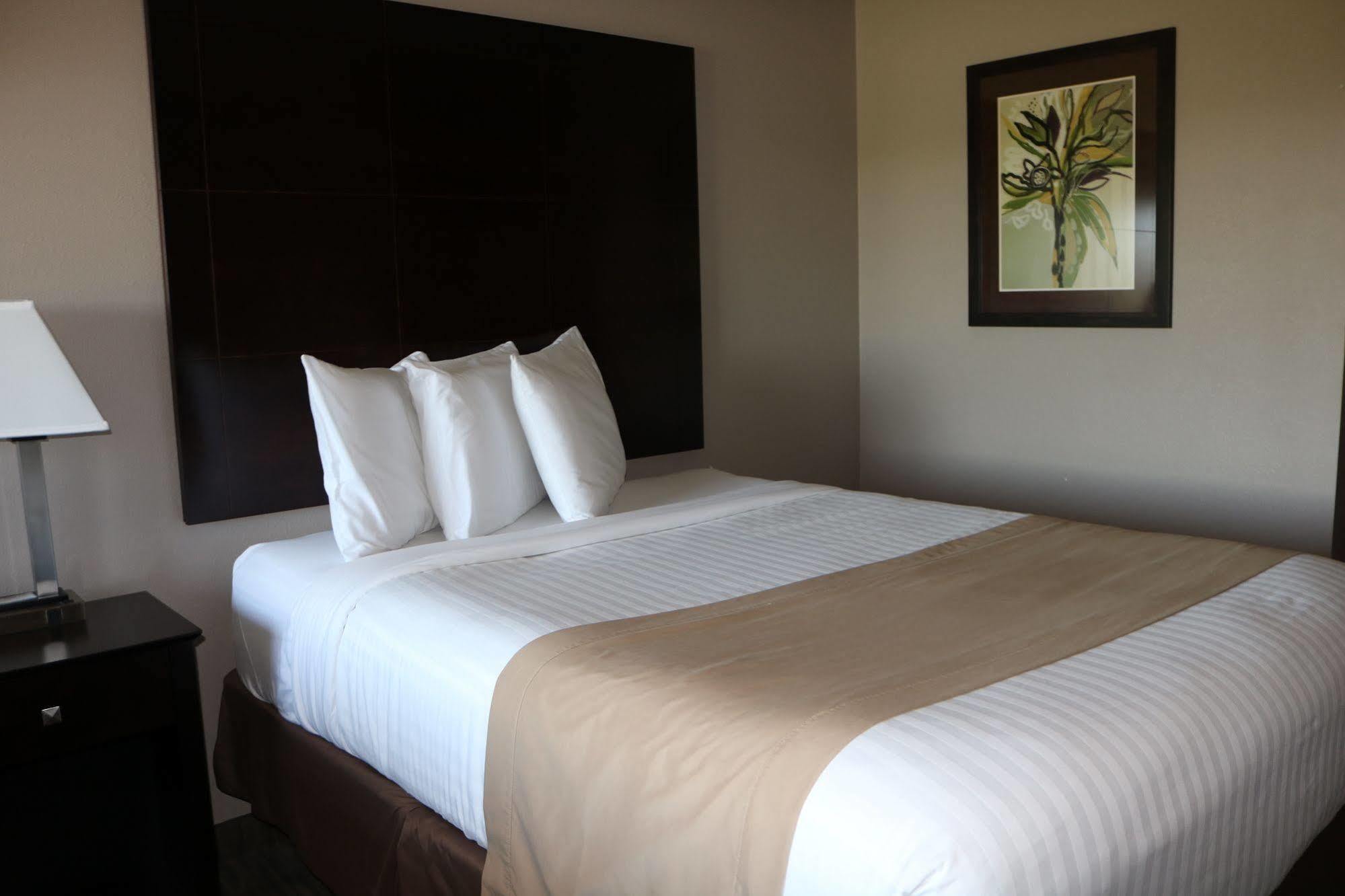 Qube Hotel - Polk City Luaran gambar